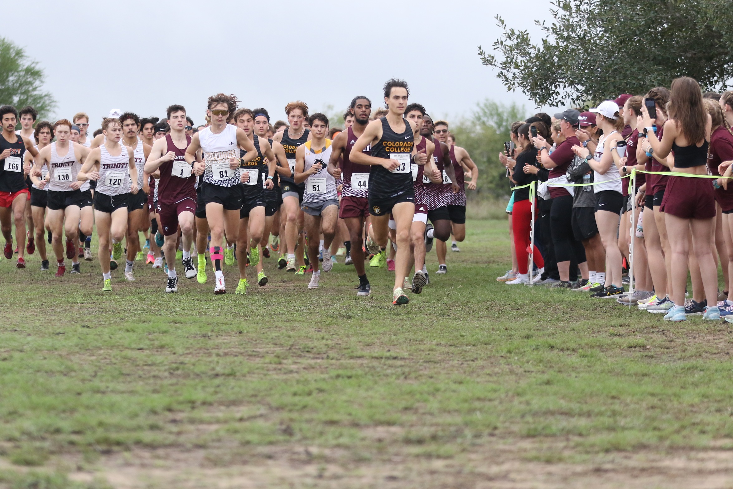 Men's XC Competes at SCAC Championship